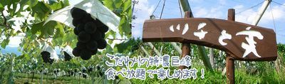 山梨ペット同伴OK犬と一緒に入れるぶどう狩り農園