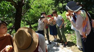 山梨御坂観光農園夏桃狩り初めてのフルーツ狩り果物狩りどこがオススメ?.jpg