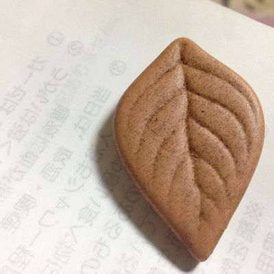 山梨手巻きタバコ販売店RAWローラーケース葉っぱ保湿グッズ.jpg