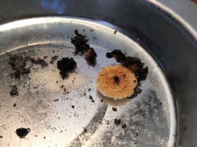 山梨甲府市ちゃんとしたお灸専門店お灸温灸カフェワンコイン.jpg
