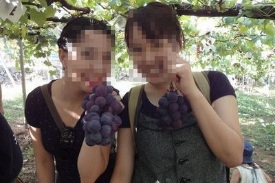 山梨障害者うつ病ぶどう狩り自然体験気分転換リフレッシュ.jpg