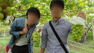 2020年 コロナ禍でも楽しめる笛吹市御坂町オススメぶどう狩り食べ放題&時間無制限