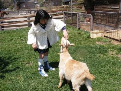 牧場乗馬体験おすすめララミー牧場周辺ペンション宿泊施設.jpg